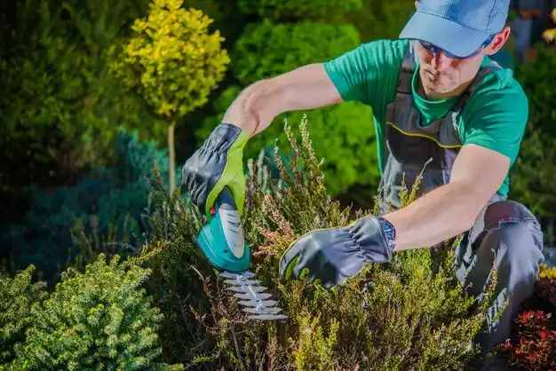 landscaping services Gowanda